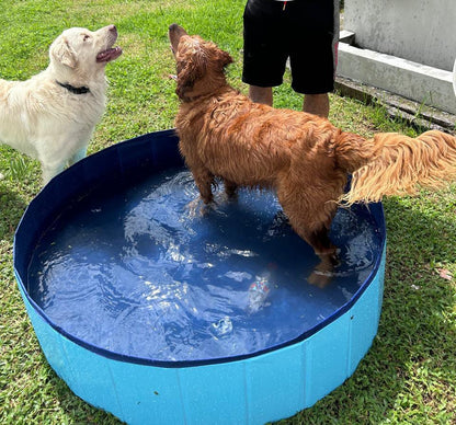 Piscina Premium Multiusos: Diversión para Niños y Mascotas